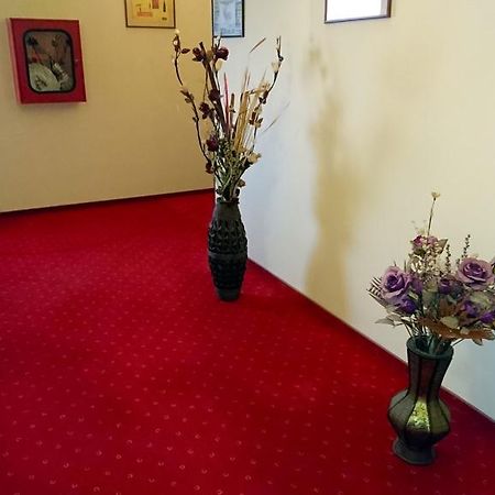 Hotel Pui De Urs ブカレスト エクステリア 写真